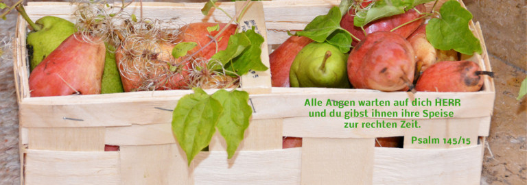 Obstkorb