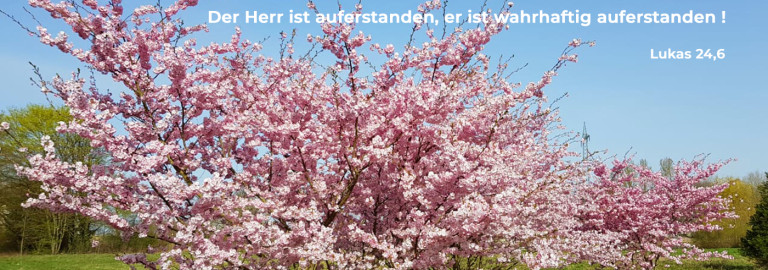 Der Herr ist auferstanden- Die Natur erblüht neu