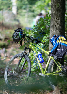 Fahrrad am Baum